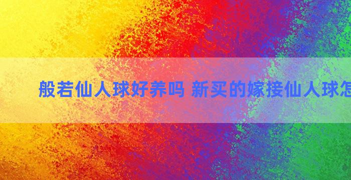 般若仙人球好养吗 新买的嫁接仙人球怎样上盆